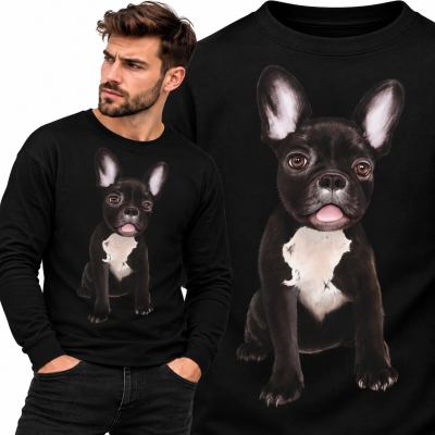 BLUZA  ZWIERZĘTA FRANCUSKI DOG